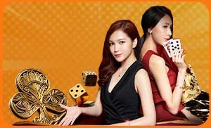 Casino 23win